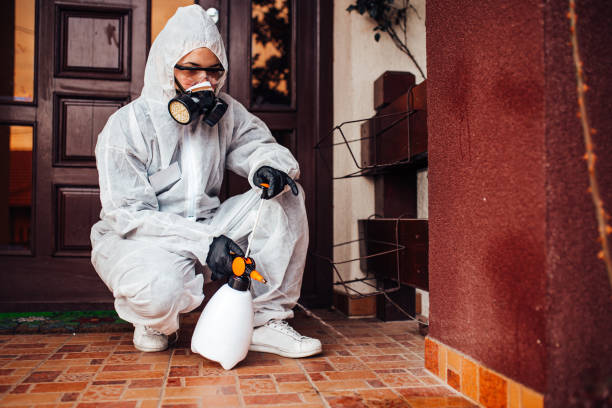 Reliable Bed Bug Control contractor in Sans Souci, SC by Nex Pest Control