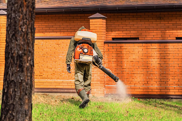Trusted Termite Control service in Sans Souci, SC - Nex Pest Control